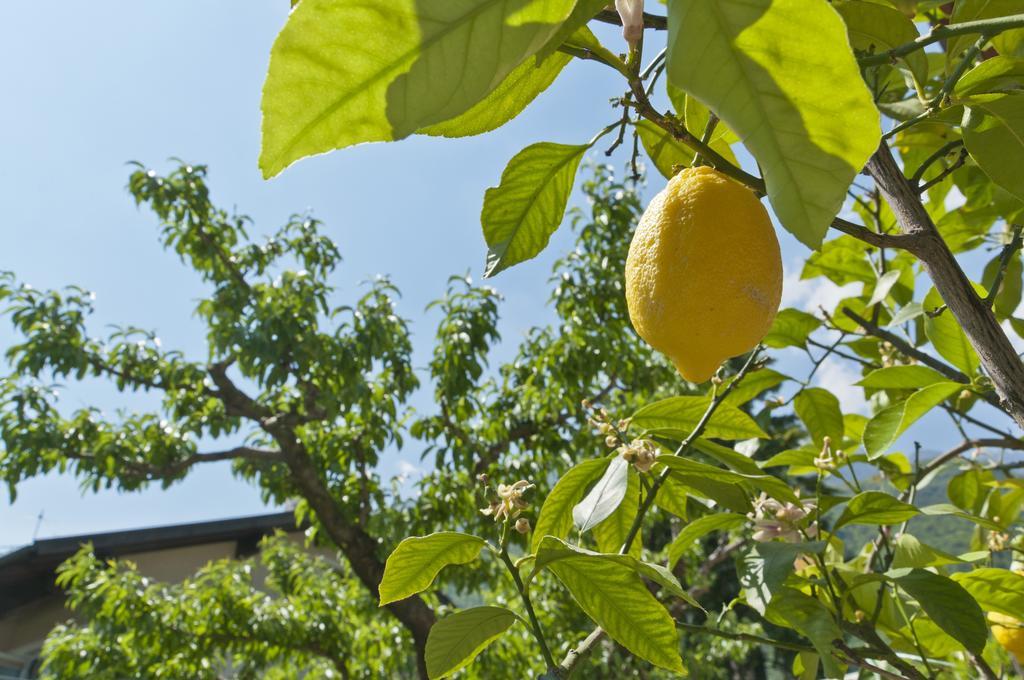Ferienwohnungen Atz Termeno Zewnętrze zdjęcie